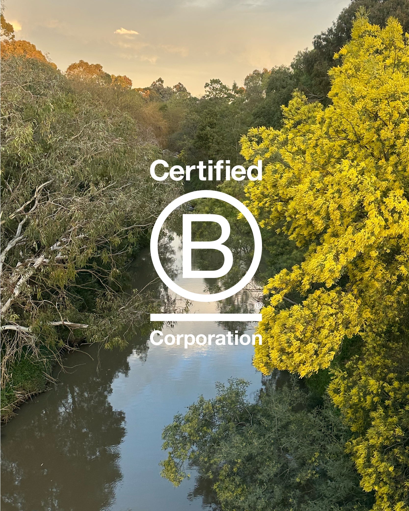 Milestone: We’re Now a Certified B Corp!