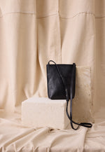 Louanne Pouch