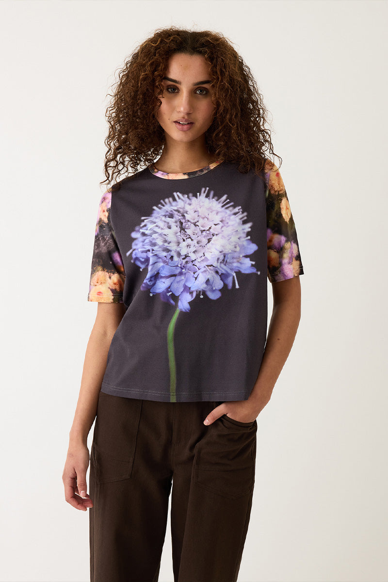 Size Fit Image Right