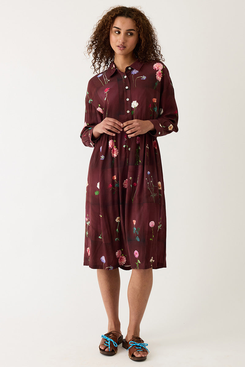 Size Fit Image Right