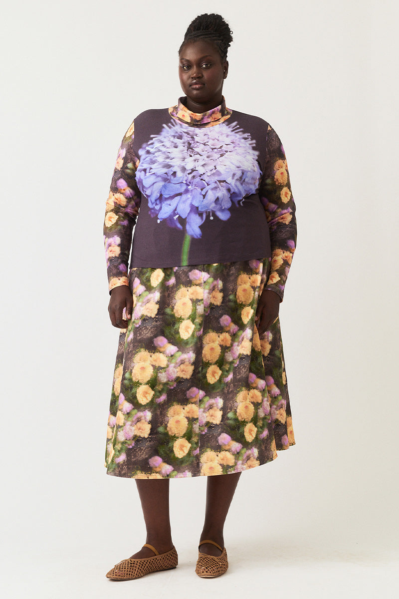 Size Fit Image Right