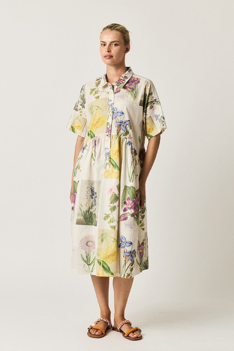 Size Fit Image Right