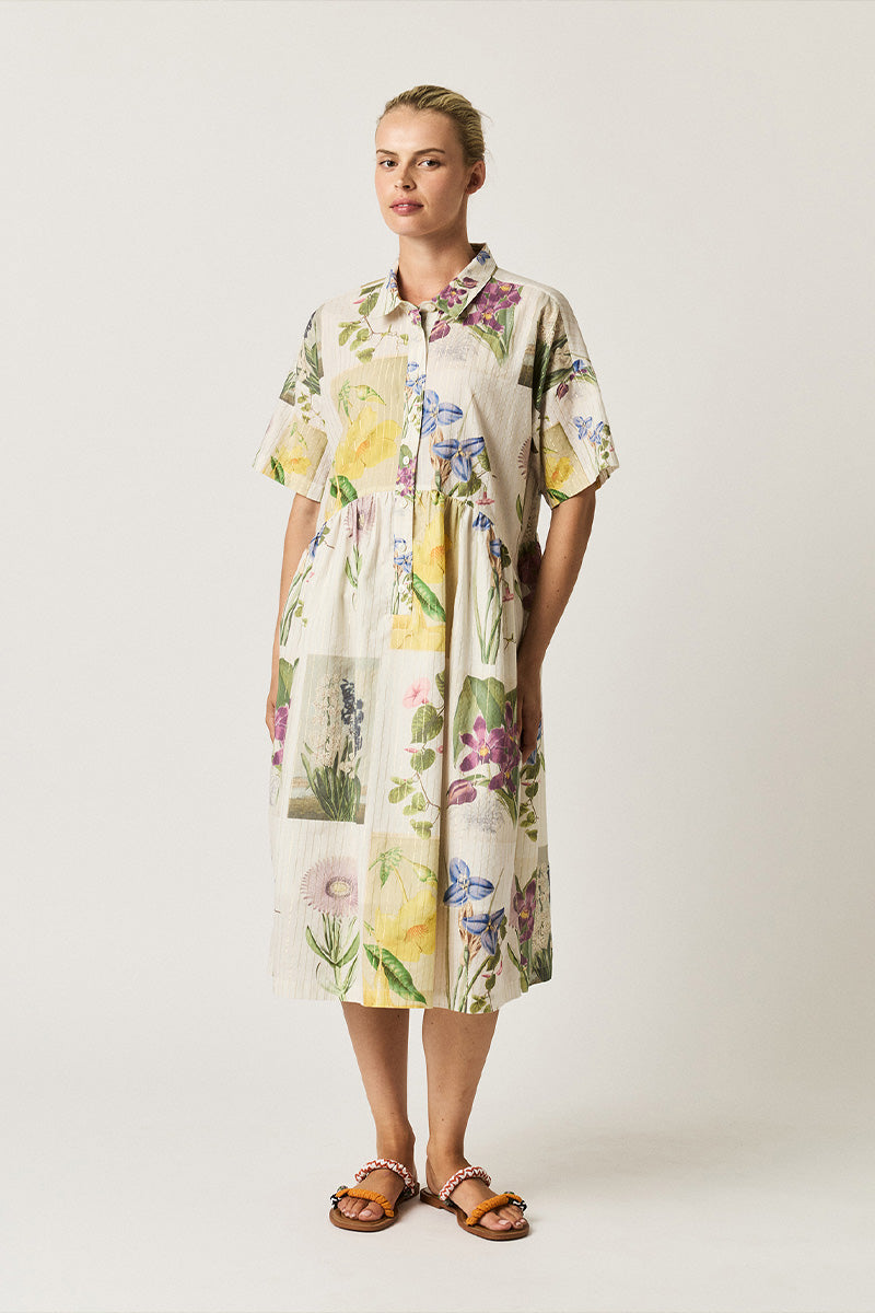 Size Fit Image Right