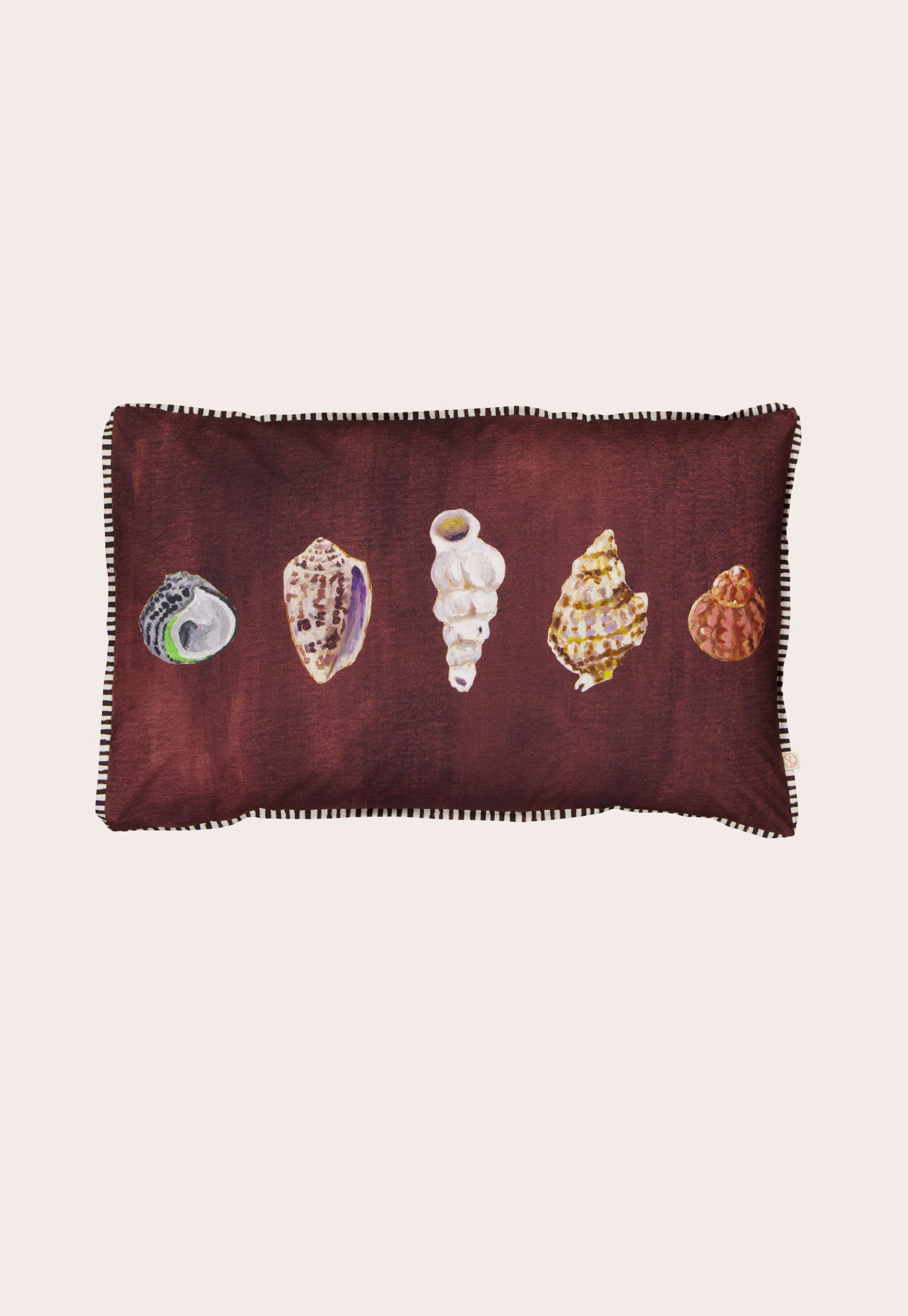Organic Cotton Pillowcase - Shells