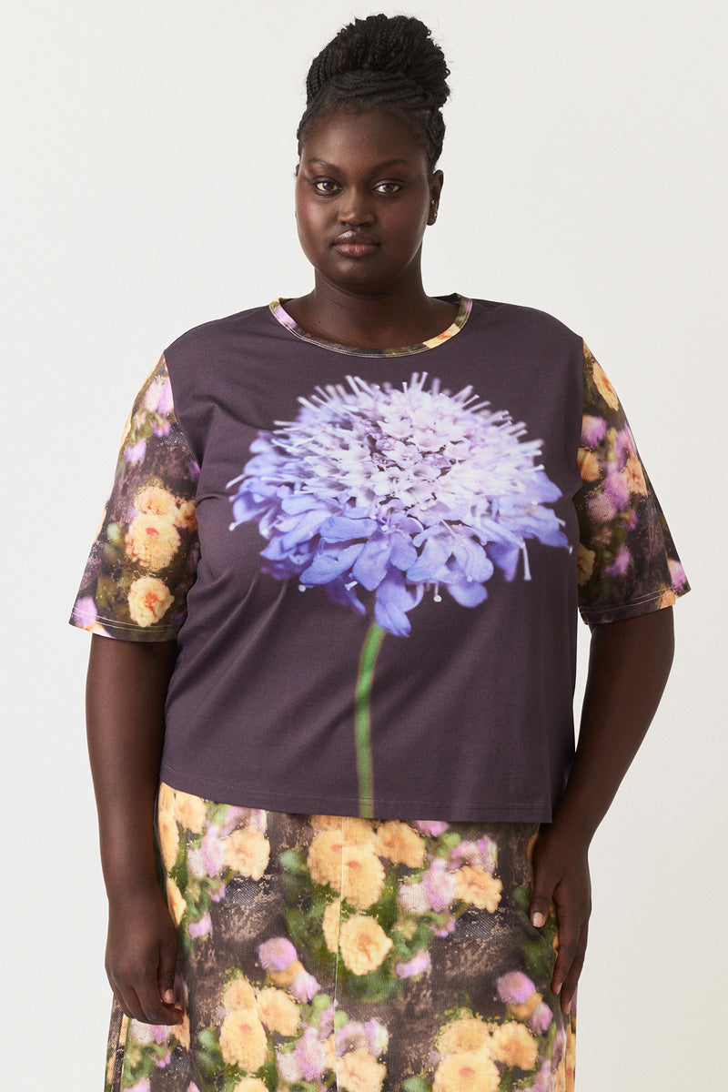 Size Fit Image Right